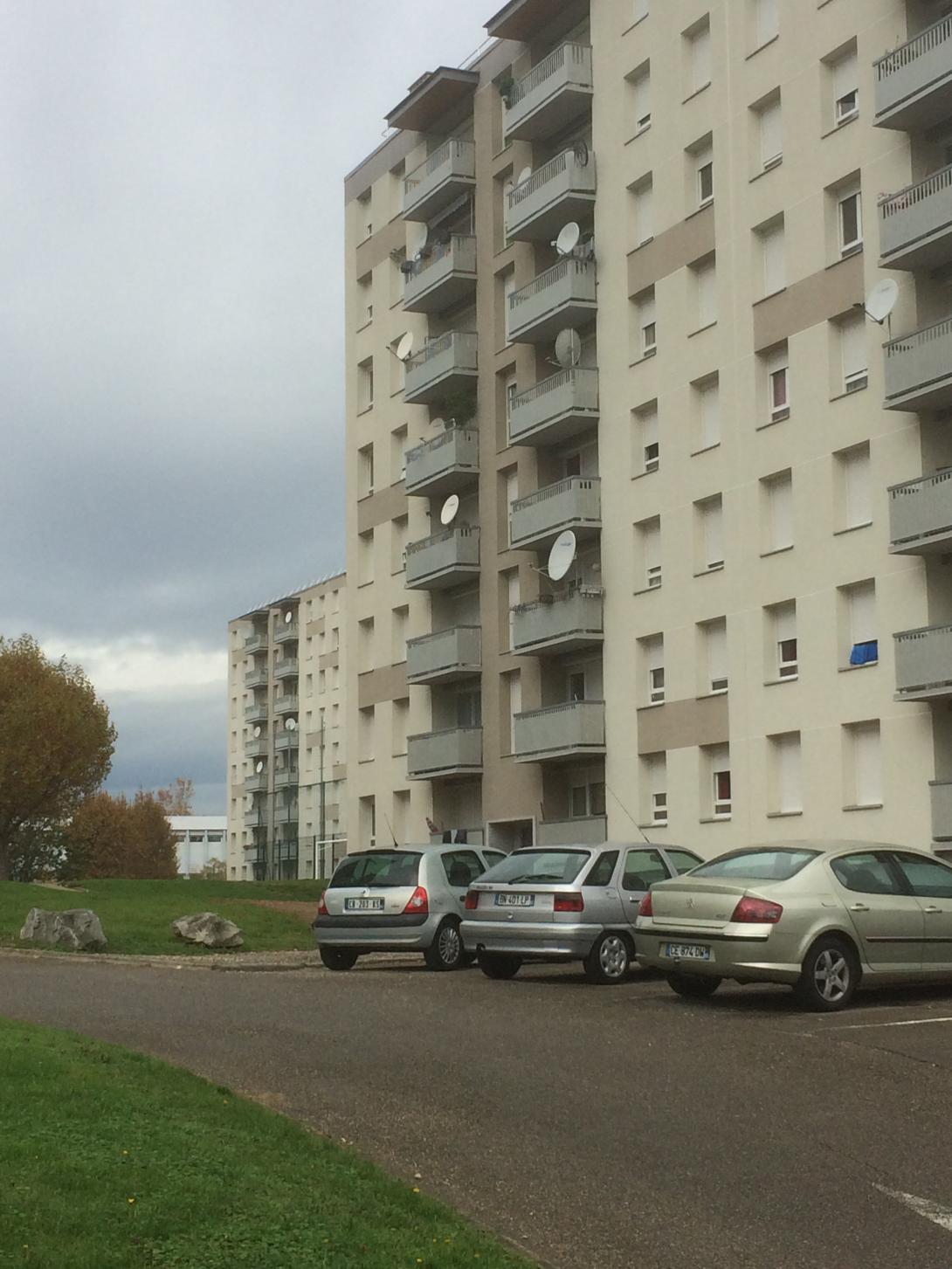 IMG 7593